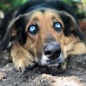 Meet your Posher, Tim